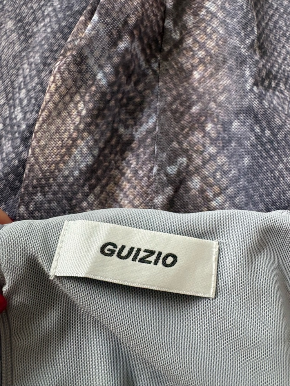 GUIZIO Mesh Mini Dress - Picture 4 of 5